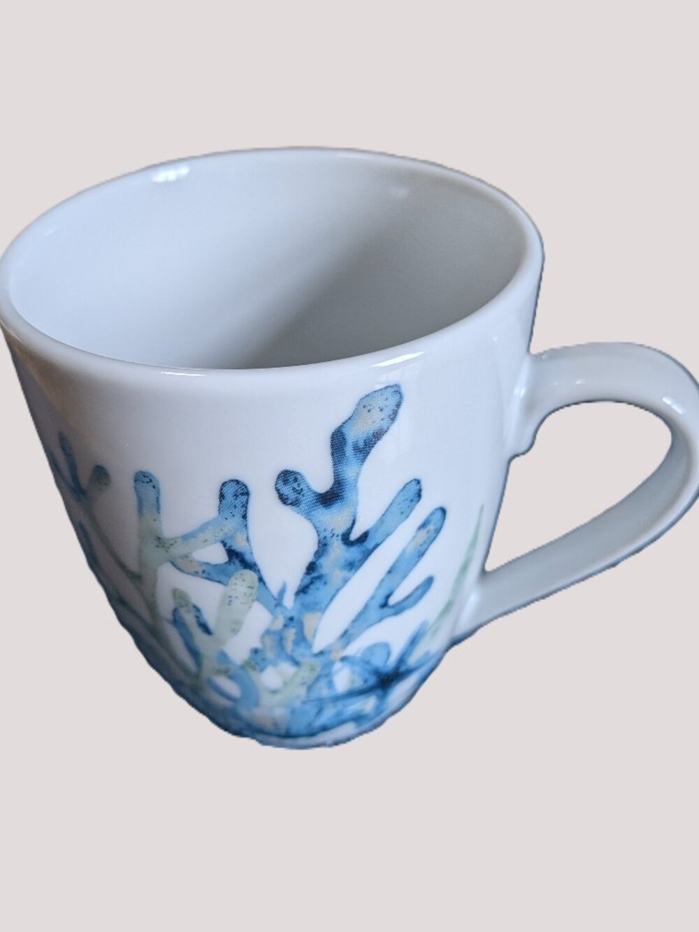 Fitz and Floyd Coastal Mug